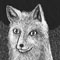 foxy