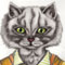 The cat in a cardigan