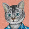 Cat in Plaid