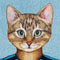 Cat in Stripes