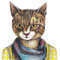 The cat with the scarf