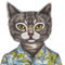 The cat in the hawaiin shirt