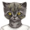 The cat in the vintage tee
